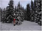 Planina Zajavornik - Debeli vrh nad Lipanco